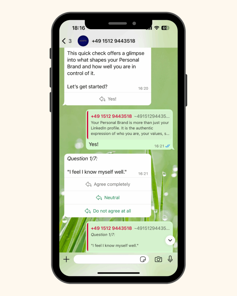 whatsapp flow of a personal brand check from ACIOTA personal brand assessment