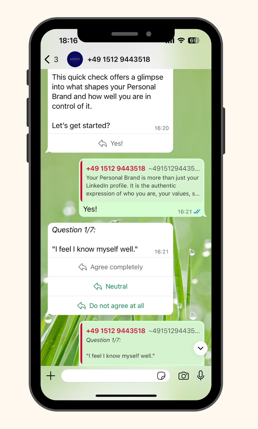 whatsapp flow of a personal brand check from ACIOTA personal brand assessment